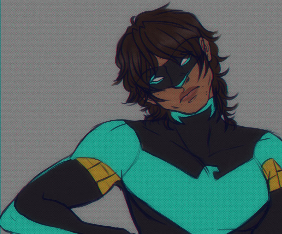nightwing (dc) tilting his head judgementally.